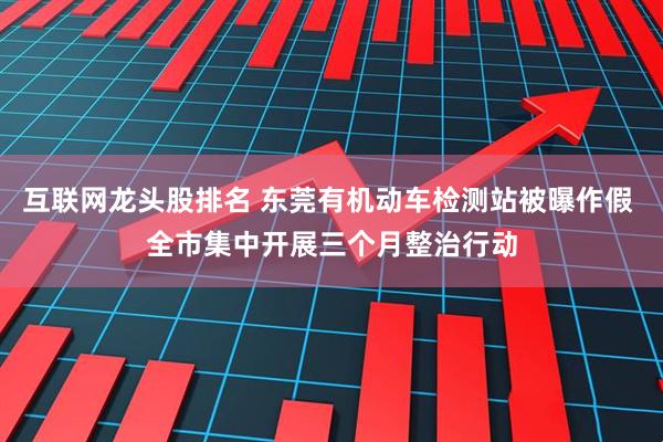 互联网龙头股排名 东莞有机动车检测站被曝作假 全市集中开展三个月整治行动