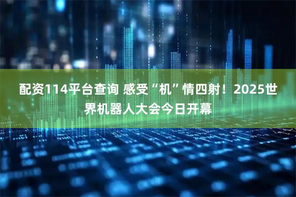 配资114平台查询 感受“机”情四射！2025世界机器人大会今日开幕