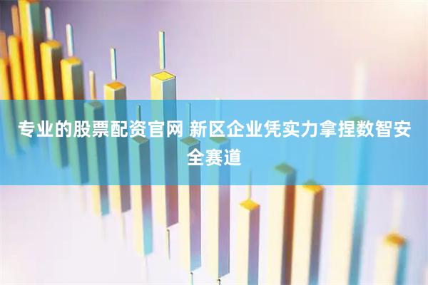 专业的股票配资官网 新区企业凭实力拿捏数智安全赛道