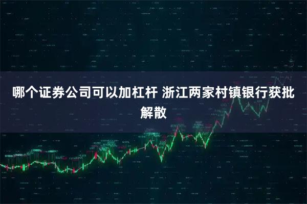 哪个证券公司可以加杠杆 浙江两家村镇银行获批解散